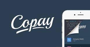 Secure Copay Crypto Wallet - Best Practices
