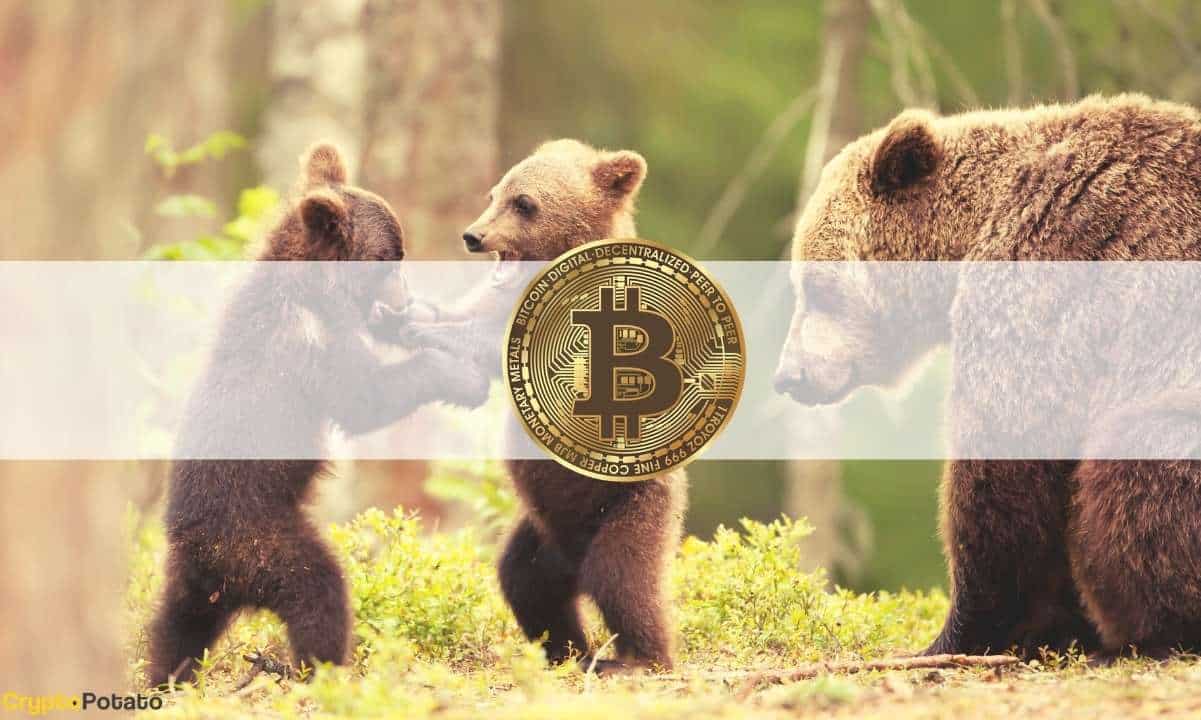How long will the crypto bear market last? Raoul Pal's macro analysis