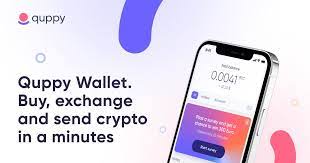 Best Blockchain Wallet: Quppy Wallet
